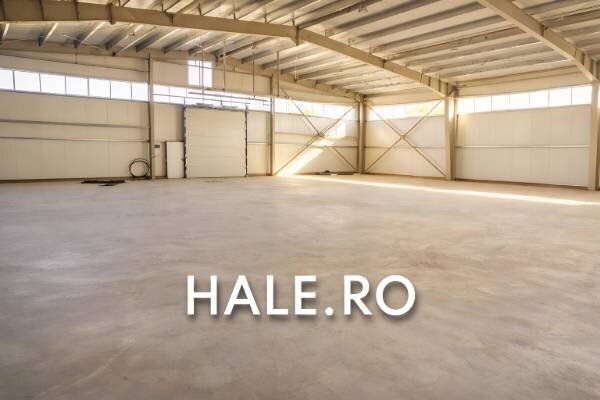 Pantelimon DN3 hala de inchiriat 600 mp
